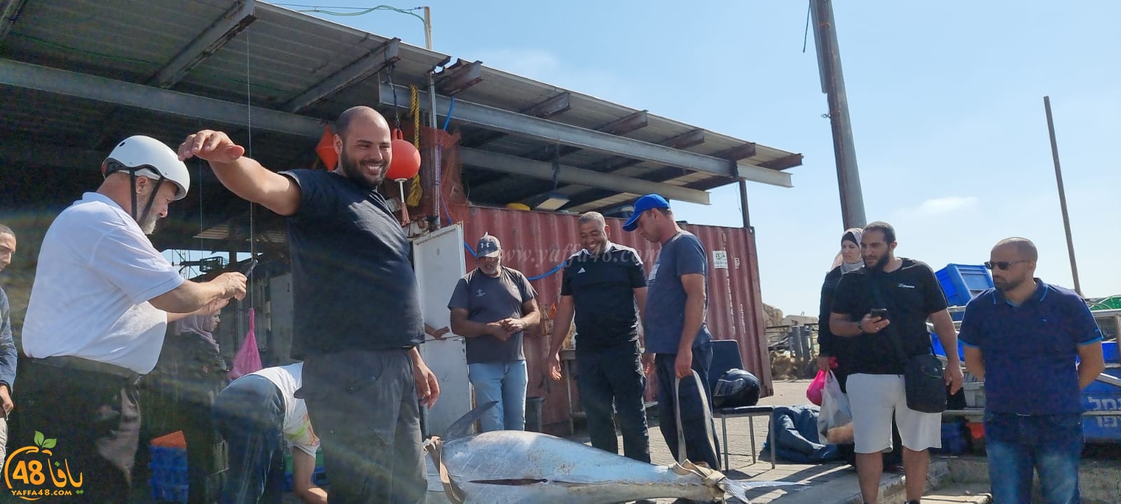 اصطياد سمكتي تونة عملاقة من بحر مدينة يافا